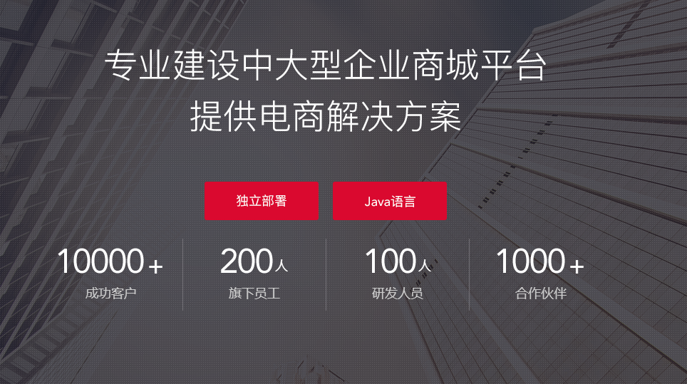 網上商城開發(fā)